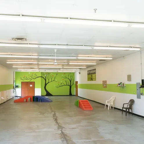 Interior play area at Puppy Playground